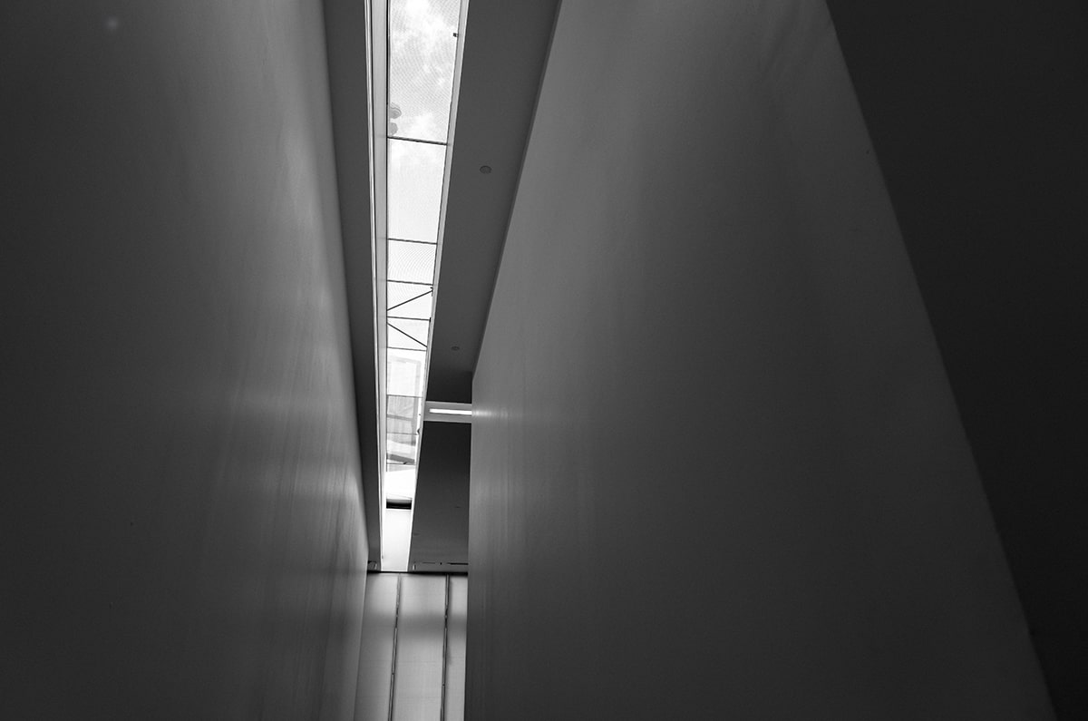 美容飲食：從內(nèi)而外呵護(hù)肌膚的秘訣