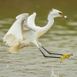 美容護(hù)膚的全套步驟及方法：打造健康光彩肌膚