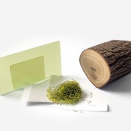 春季美容護(hù)膚小知識(shí)100條及春季美容護(hù)膚小知識(shí)100條圖片