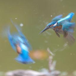 美容護(hù)膚步驟的先后順序全及美容護(hù)膚的步驟準(zhǔn)確描述