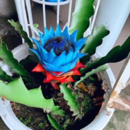 維生素d可以美容護膚嗎