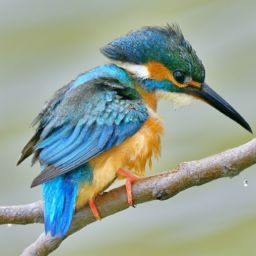 剛懷孕可以做美容護膚嗎有影響嗎