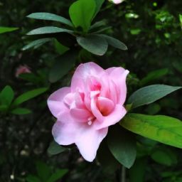 樊文花<strong>美容</strong>護(hù)膚產(chǎn)品的價(jià)格究竟貴不貴？探尋市場(chǎng)定位與性價(jià)比